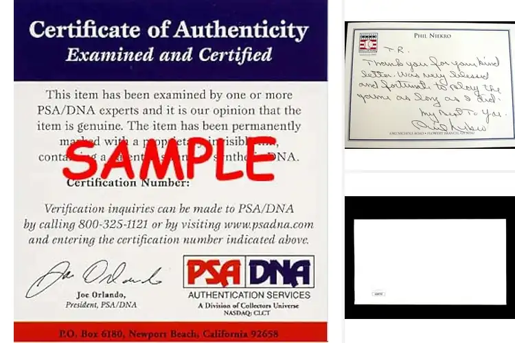 Detailed view of Best 300 Wins MLB Signatures: Relive Baseball History Today