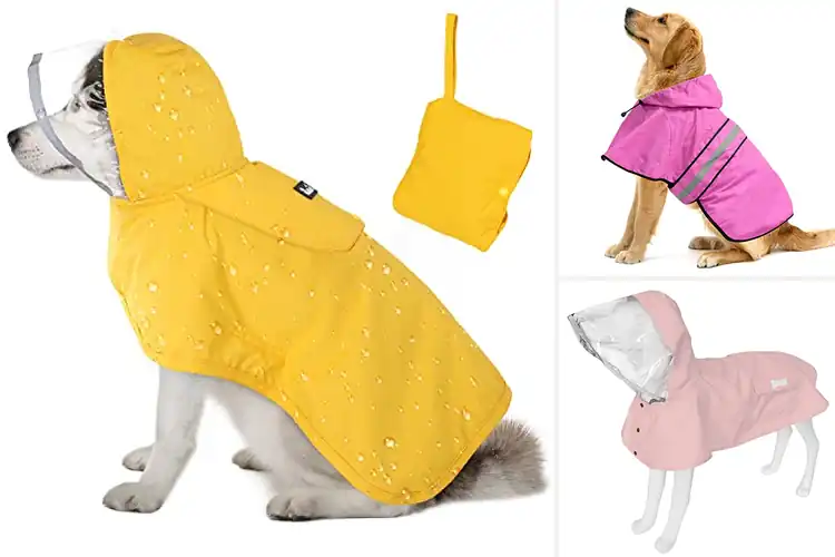 Detailed view of Best Adjustable Dog Ponchos: Top 10 Cozy & Waterproof Picks