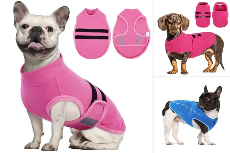 Detailed view of Best Adjustable Dog Sweaters