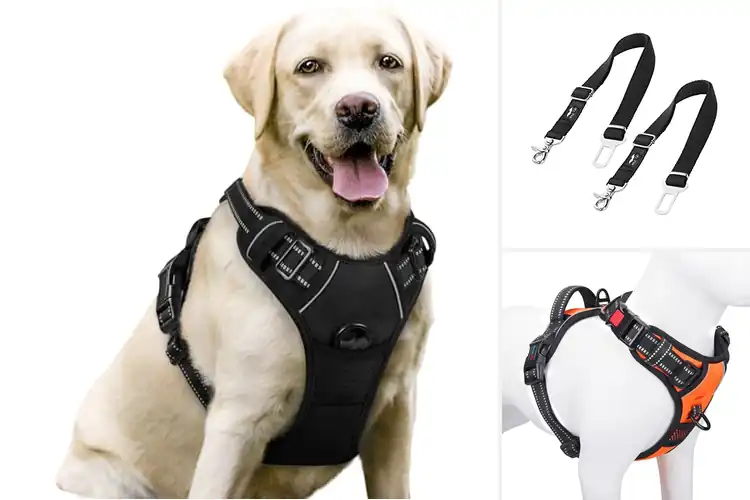 Detailed view of Best Adjustable Harness Compatible