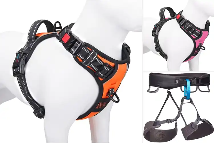 Detailed view of Best Adjustable Harness Loop: Top 10 Picks for Every Need