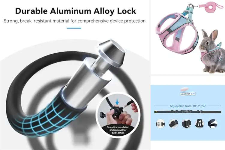 Detailed view of Best Adjustable Neck And Chest Straps