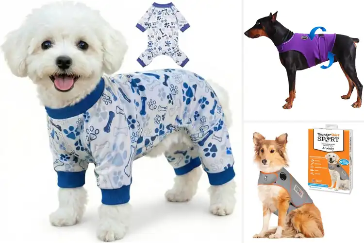 Detailed view of Best Anxiety Calming Outfit: 10 Top Picks for Relaxed Pets