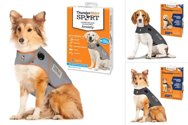 Detailed view of Best Anxiety Dog Wraps