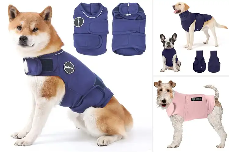 Detailed view of Best Anxiety Reducing Coat: Top 10 Picks for Calm Dogs