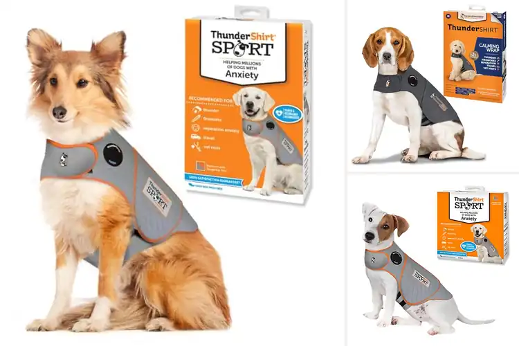 Detailed view of Best Anxiety Reducing Dog Clothing: 10 Top Calming Options