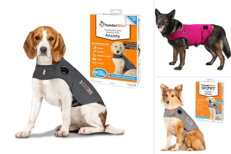 Detailed view of Best Anxiety Reducing Dog Wraps