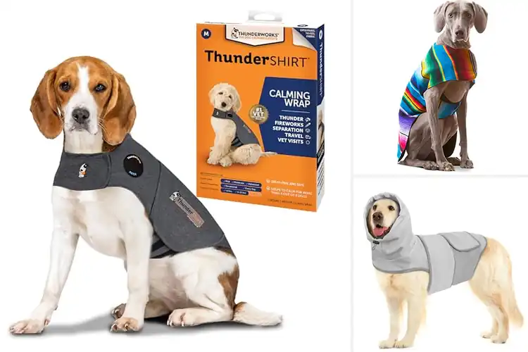 Detailed view of Best Anxiety Relief Dog Ponchos: Top 10 Picks for a Calm Pup