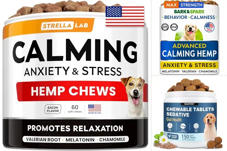 Detailed view of Best Anxiety Relief Treats: Calm Your Mind, Naturally