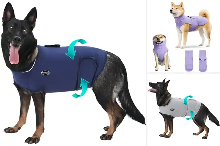 Detailed view of Best Calm Anxiety Reducing Dog Poncho