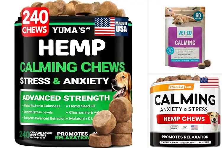 Detailed view of Best Calming Chews
