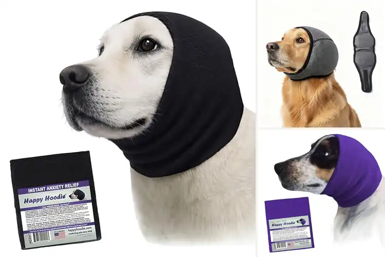 Detailed view of Best Calming Dog Wraps: Your Guide to a Relaxed Pup