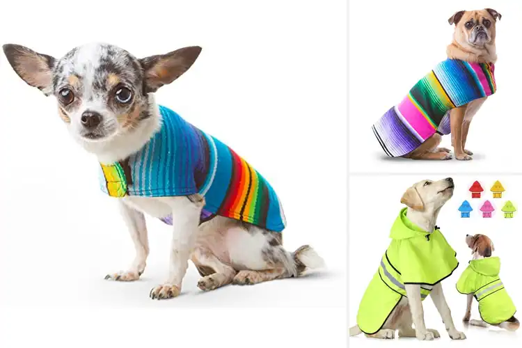 Detailed view of Best Casual Everyday Wear Dog Poncho For Walks