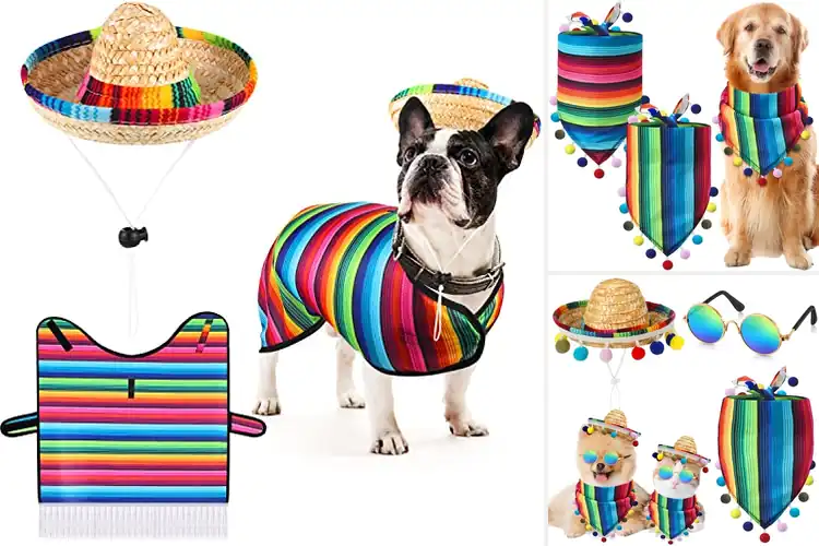 Detailed view of Best Cinco De Mayo Dog Outfits: Fiesta Fun
