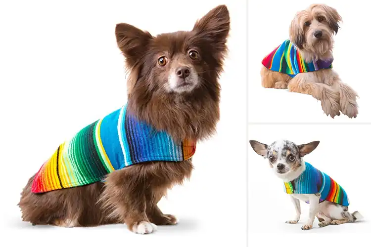 Detailed view of Best Colorful Dog Poncho Blue