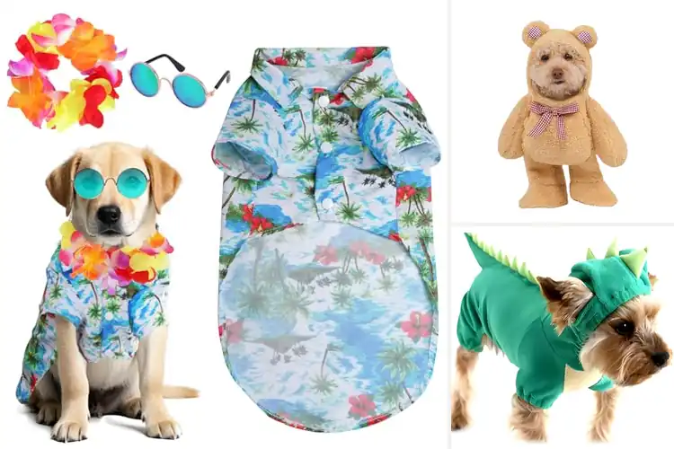 Detailed view of Best Costume Dog Outfit