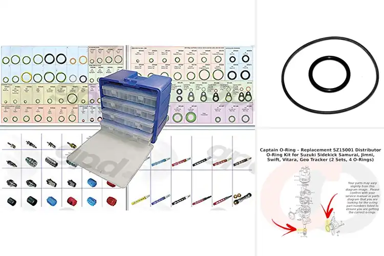 Detailed view of Best Distributor O-Ring Kits