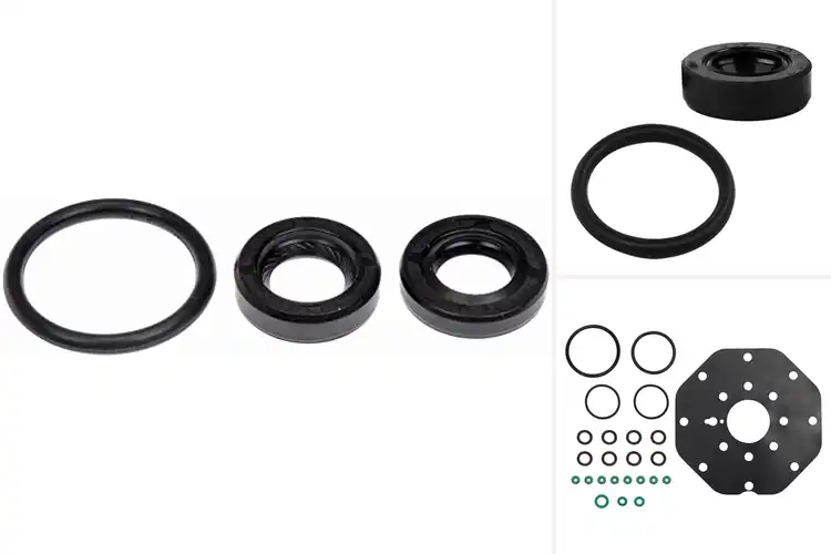 Detailed view of Best Distributor Seal Repair Kits