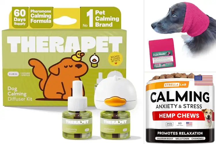 Detailed view of Best Dog Anxiety Solutions