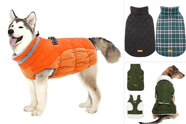 Detailed view of Best Dog Coat For Cold Weather