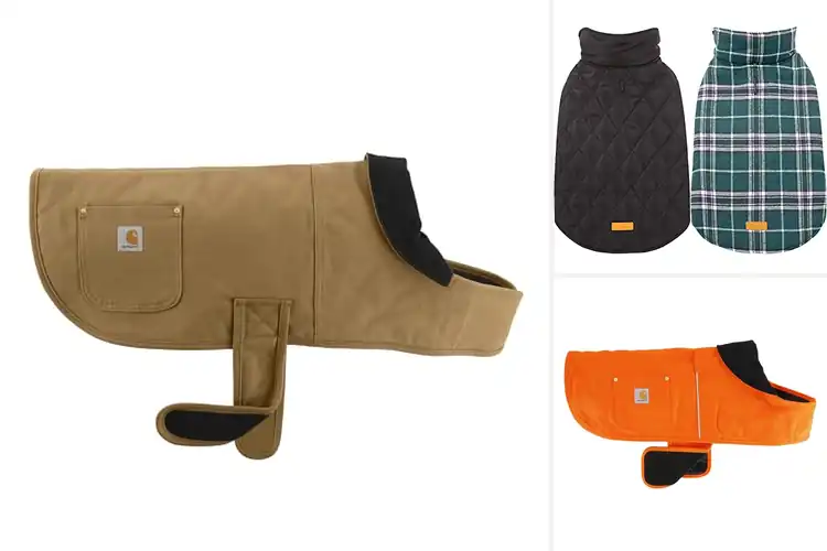 Detailed view of Best Dog Coats: Top Picks for Warmth, Style, and Durability