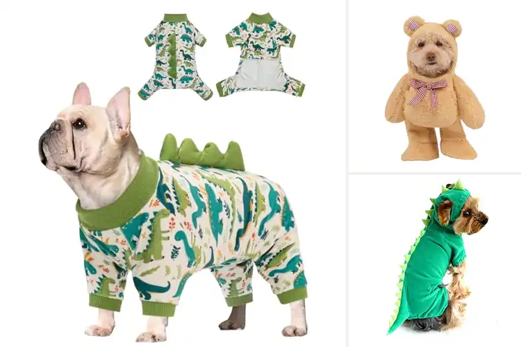 Detailed view of Best Dog Costumes: Stylish & Comfortable Picks for Every Pup