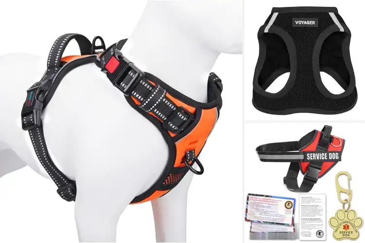 Detailed view of Best Dog Harness Vests for Comfort & Secure Walks