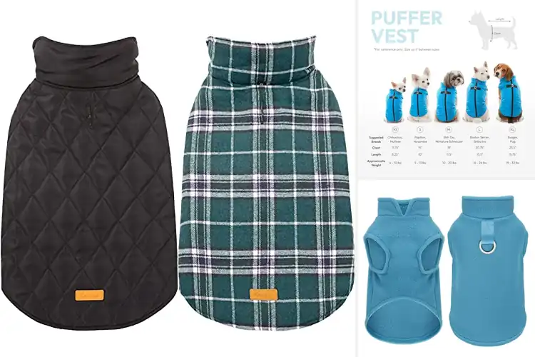 Detailed view of Best Dog Jackets: Cozy, Warm, & Durable for Your Pup
