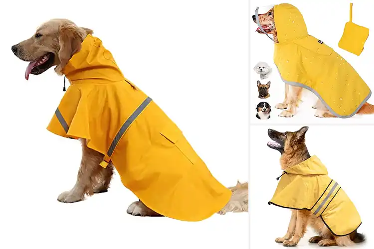 Detailed view of Best Dog Poncho: 10 Top Picks for Dry & Stylish Pups