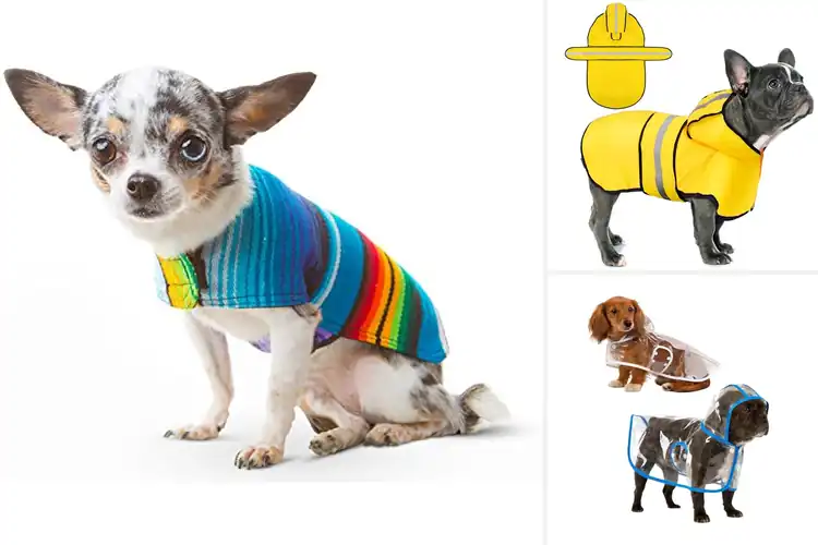 Detailed view of Best Dog Ponchos For Small Dogs: Cozy Styles They’ll Love