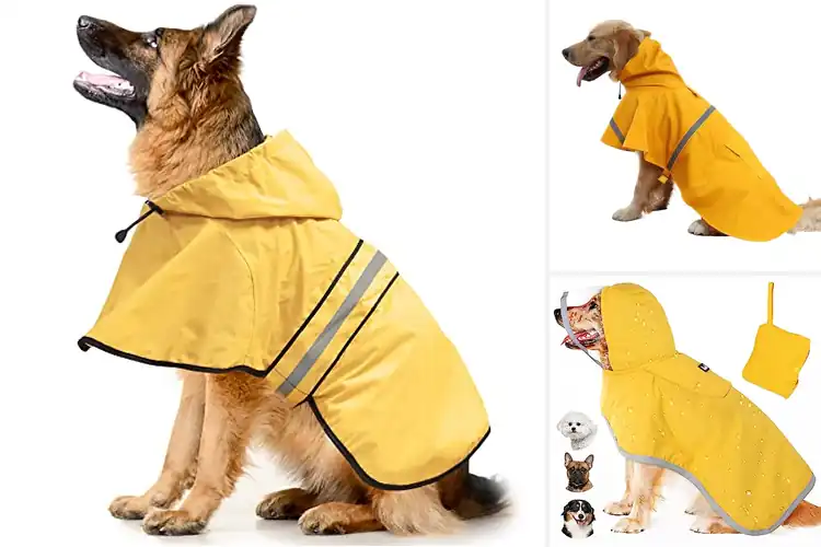 Detailed view of Best Dog Ponchos