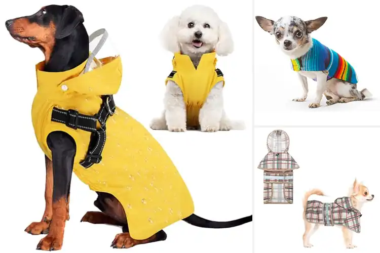 Detailed view of Best Dog Ponchos With Harness Loop