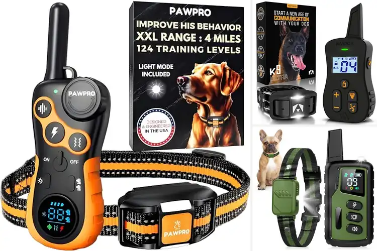 Detailed view of Best Dog Size Range: Top Collars for Easy Training