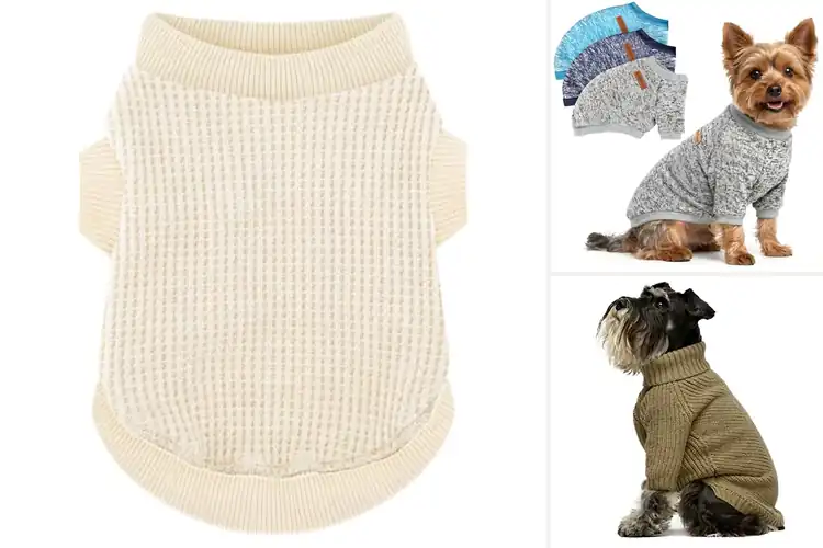 Detailed view of Best Dog Sweaters: 10 Cozy Picks for Warmth & Style