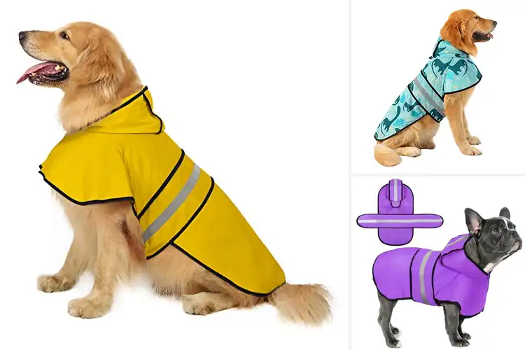 Detailed view of Best Durable Easy On Off Pet Poncho
