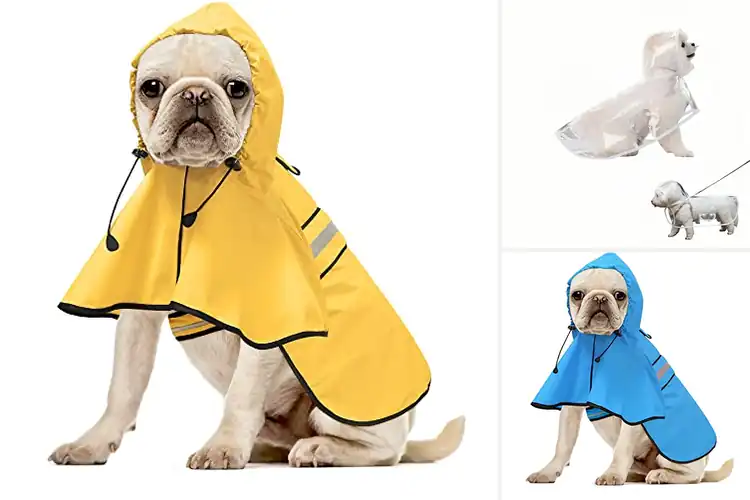 Detailed view of Best Easy-Clean Dog Poncho: Wipe & Go Comfort for Your Pup