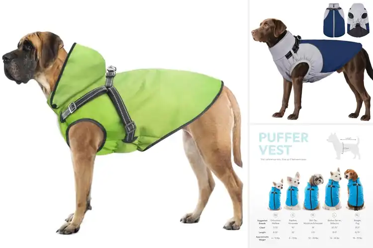 Detailed view of Best Easy On Easy Off Dog Coat