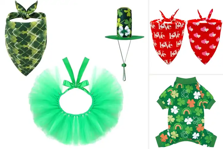 Detailed view of Best Festive Dog Outfits