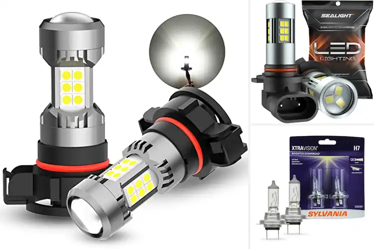 Detailed view of Best Fog Replacement Bulbs for Clear, Safer Driving