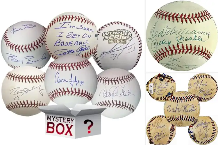 Detailed view of Best Hand Signed Baseball Signatures