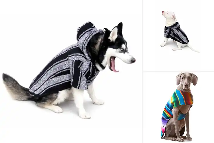 Detailed view of Best Handcrafted Dog Poncho