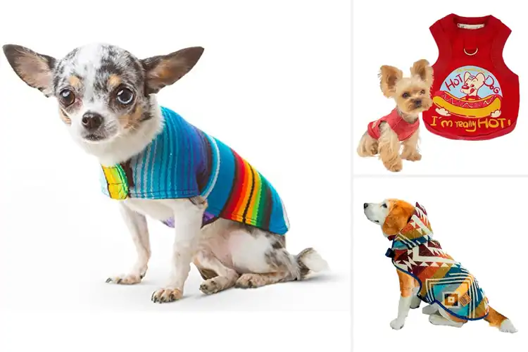 Detailed view of Best Handmade Dog Apparel: Style & Comfort