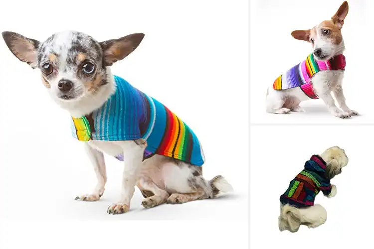 Detailed view of Best Handmade Dog Clothes