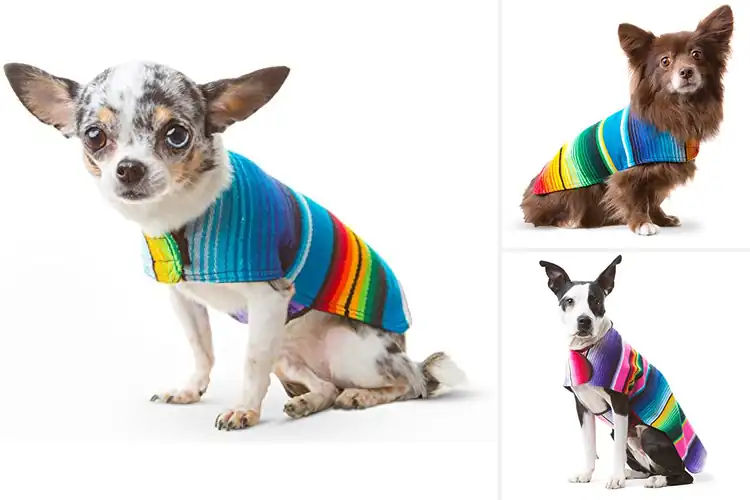 Detailed view of Best Handmade Dog Ponchos