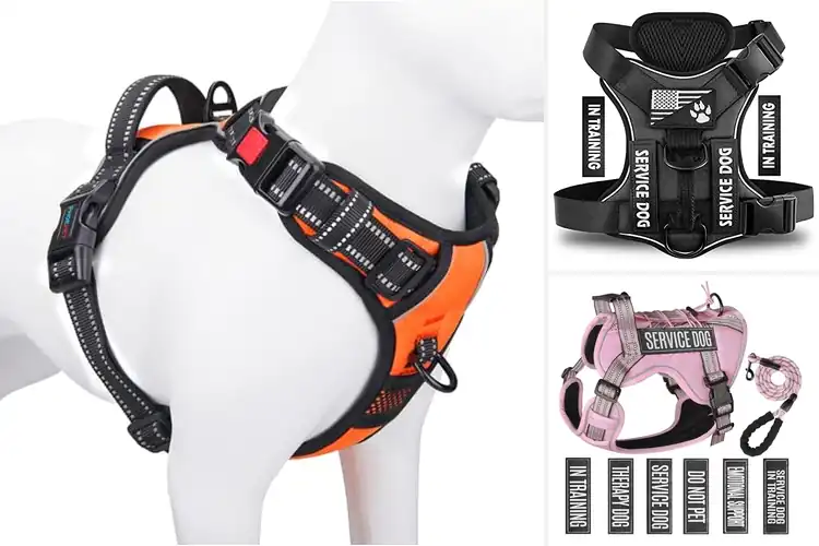 Detailed view of Best Harness Compatible Dog Vest