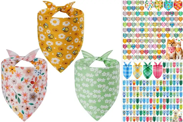Detailed view of Best Holiday And Seasonal Dog Wear