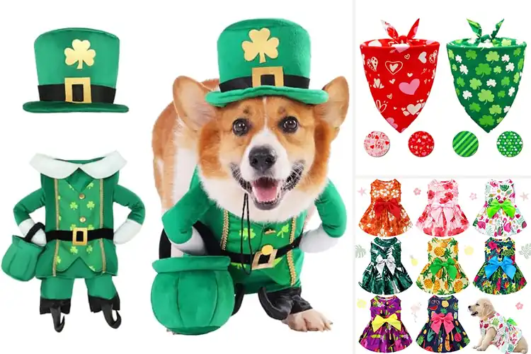 Detailed view of Best Holiday And Themed Pet Outfit
