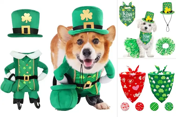 Detailed view of Best Holiday Dog Costume