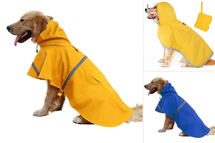 Detailed view of Best Large And XL Dog Size Poncho: Top Picks for Rainy Days