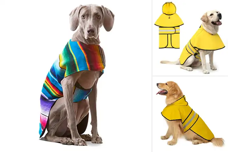 Detailed view of Best Large Dog Ponchos